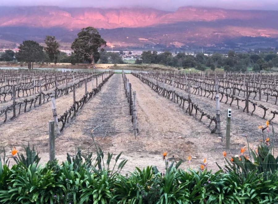 To Let commercial Property for Rent in Mbekweni Western Cape